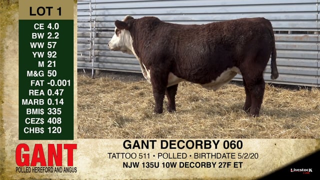 Lot #1 - GANT DECORBY 060