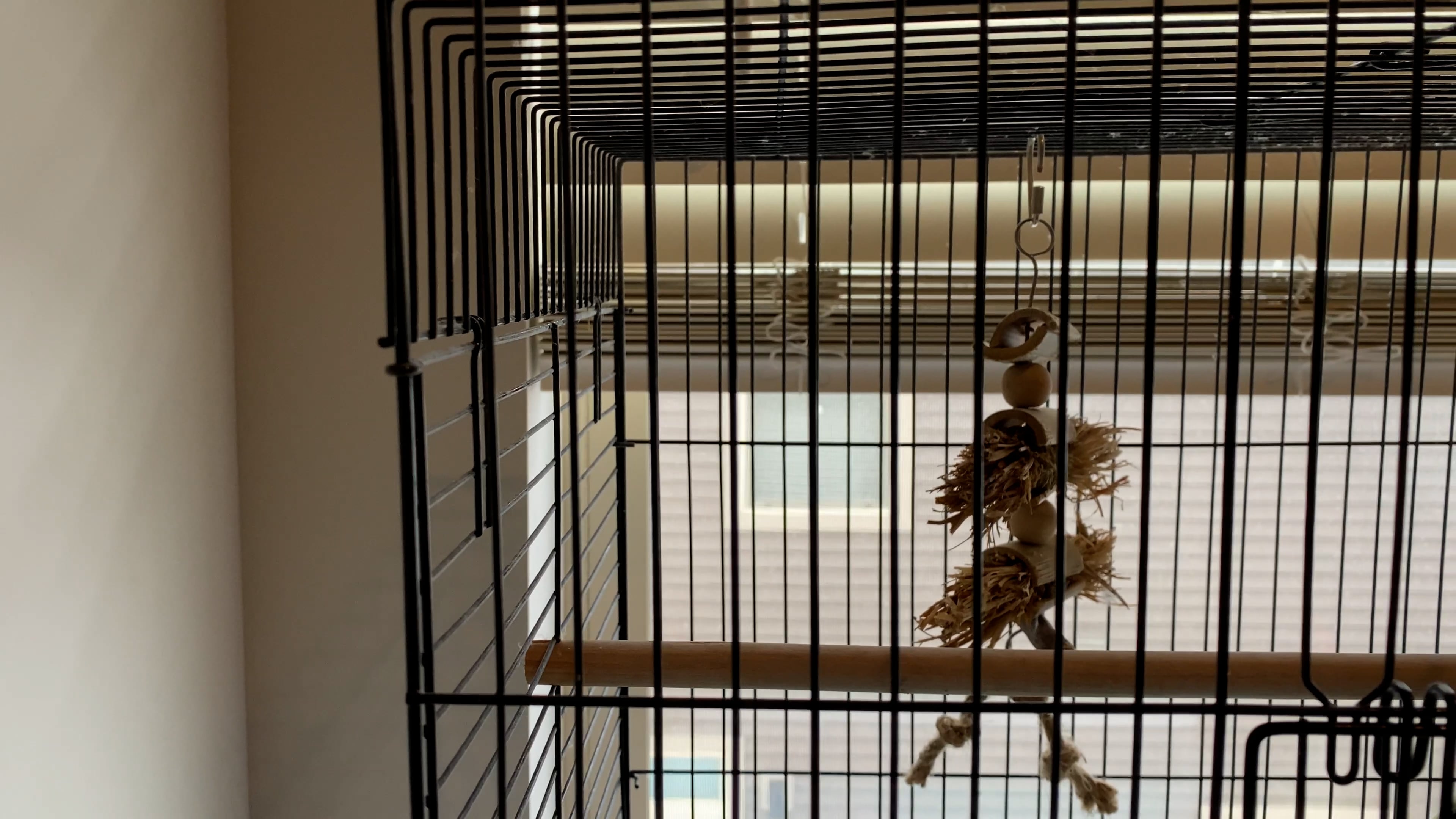 Jenna Ruff-Truck on Vimeo