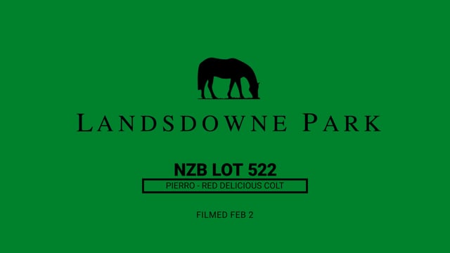 Lot 522
