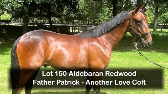 Lot 150