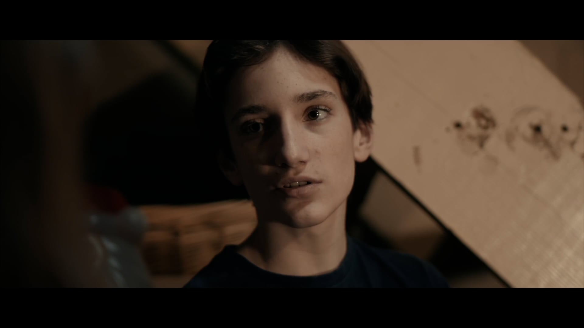 InstaReel: Phenology