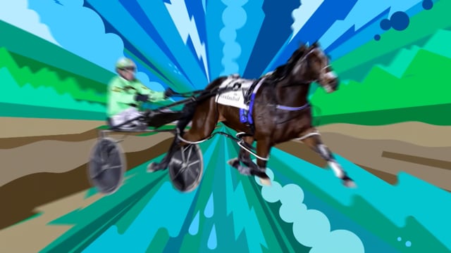 NZB Standardbred Stars - Stonewall Stud