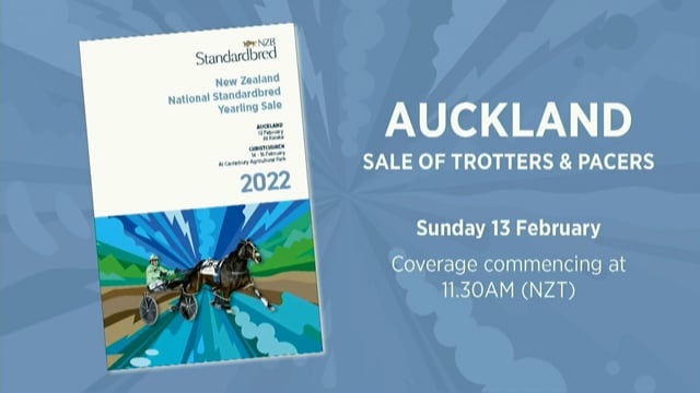 NZB Standardbred Yearling Sale 2022 Preview Show 1