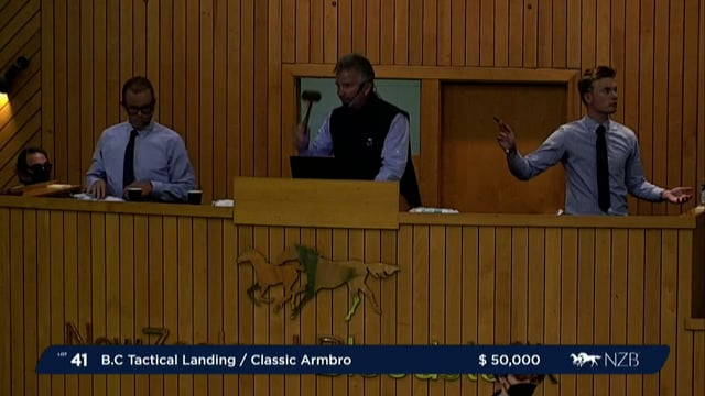 NZB Standardbred Yearling Sale 2022 - Lots 41 to 48