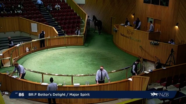 NZB Standardbred Yearling Sale 2022 - Lots 86 to 93