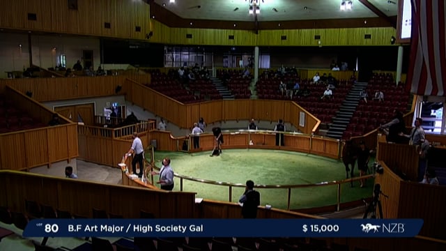 NZB Standardbred Yearling Sale 2022 - Lots 80 to 85