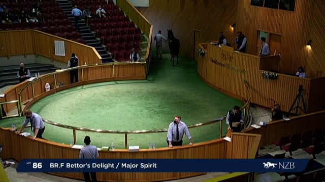 NZB Standardbred Yearling Sale 2022 - Lots 86 to 93
