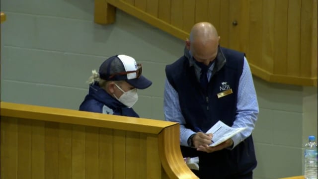 NZB Standardbred Yearling Sale 2022 - Lots 113 to 121