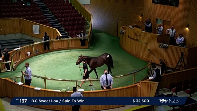 NZB Standardbred Yearling Sale 2022 - Lots 137 & 138 + Review Day 1