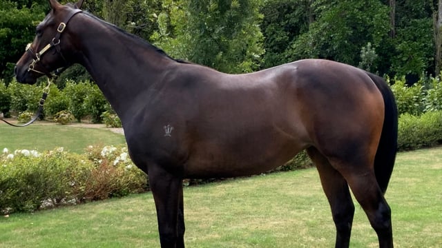 Lot 963