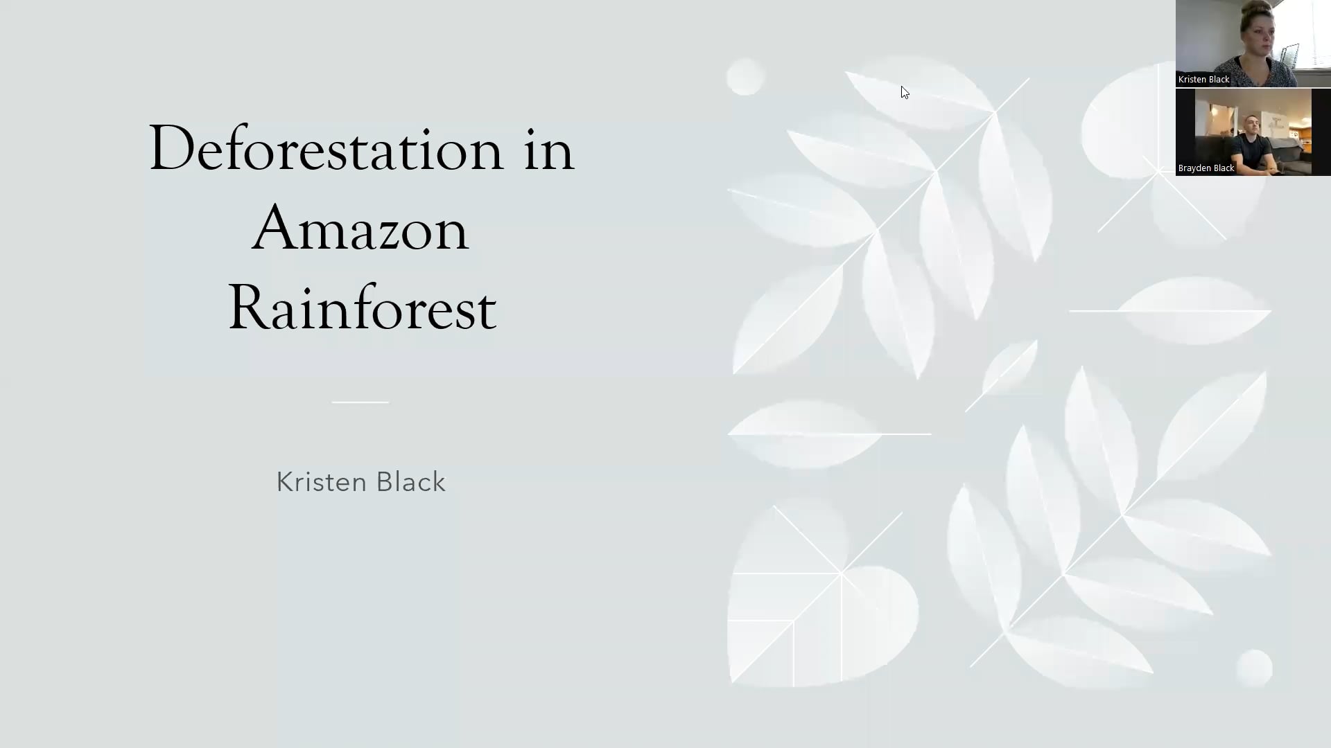 Informative Speech Amazon Rainforest Deforestation on Vimeo