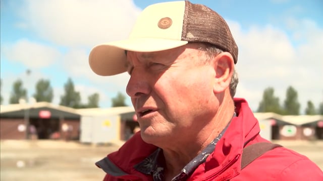 NZB Standardbred Yearling Sale 2022 Day 2 - Preview 3 - Lots 139 to 142