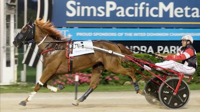 NZB Standardbred Yearling Sale 2022 Day 2 - Preview 1