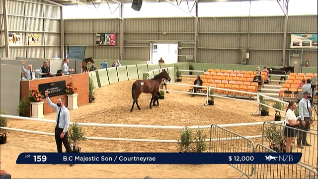 NZB Standardbred Yearling Sale 2022 Day 2 - Lots 159 to 166