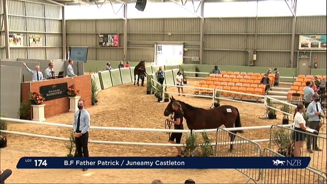 NZB Standardbred Yearling Sale 2022 Day 2 - Lots 174 to 182