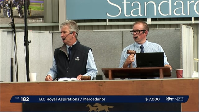 NZB Standardbred Yearling Sale 2022 Day 2 - Lots 182 to 191