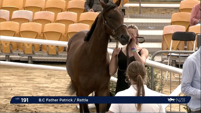 NZB Standardbred Yearling Sale 2022 Day 2 - Lots 191 to 199