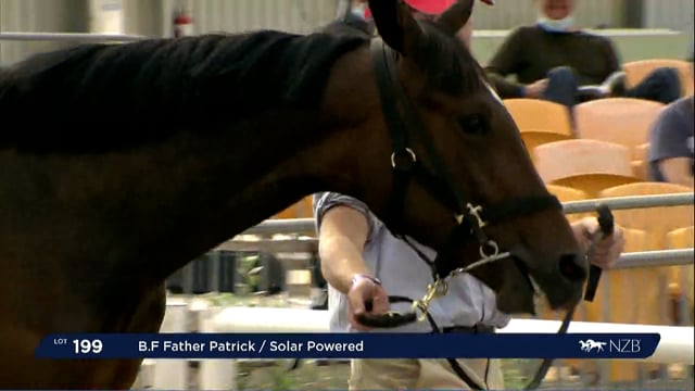 NZB Standardbred Yearling Sale 2022 Day 2 - Lot 199 - Review