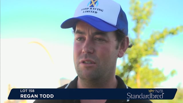 NZB Standardbred Yearling Sale 2022 Day 2 - Review