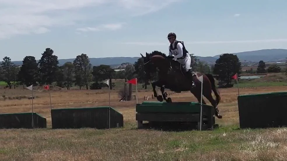 Justine Mizzi riding Montini 80 Grade 2 Lilydale and Mooroolbark Horse