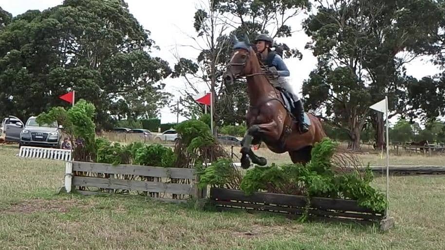 Christina Vemis riding Mulder 129 Grade 4 Lilydale and Mooroolbark