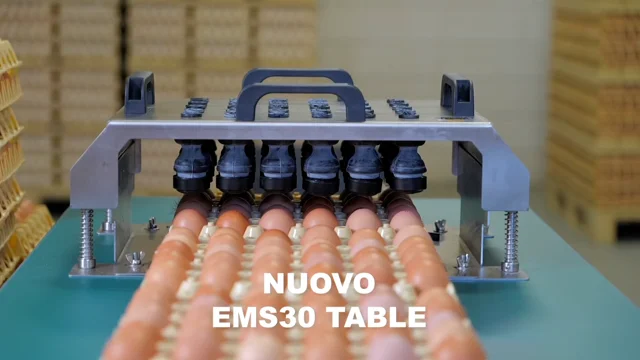 Nuovo Egg Printing and Egg Stamping Systems - Easy Stamp EMS1