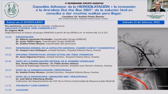 Ver webinar: V Seminario del Grupo GANCHO