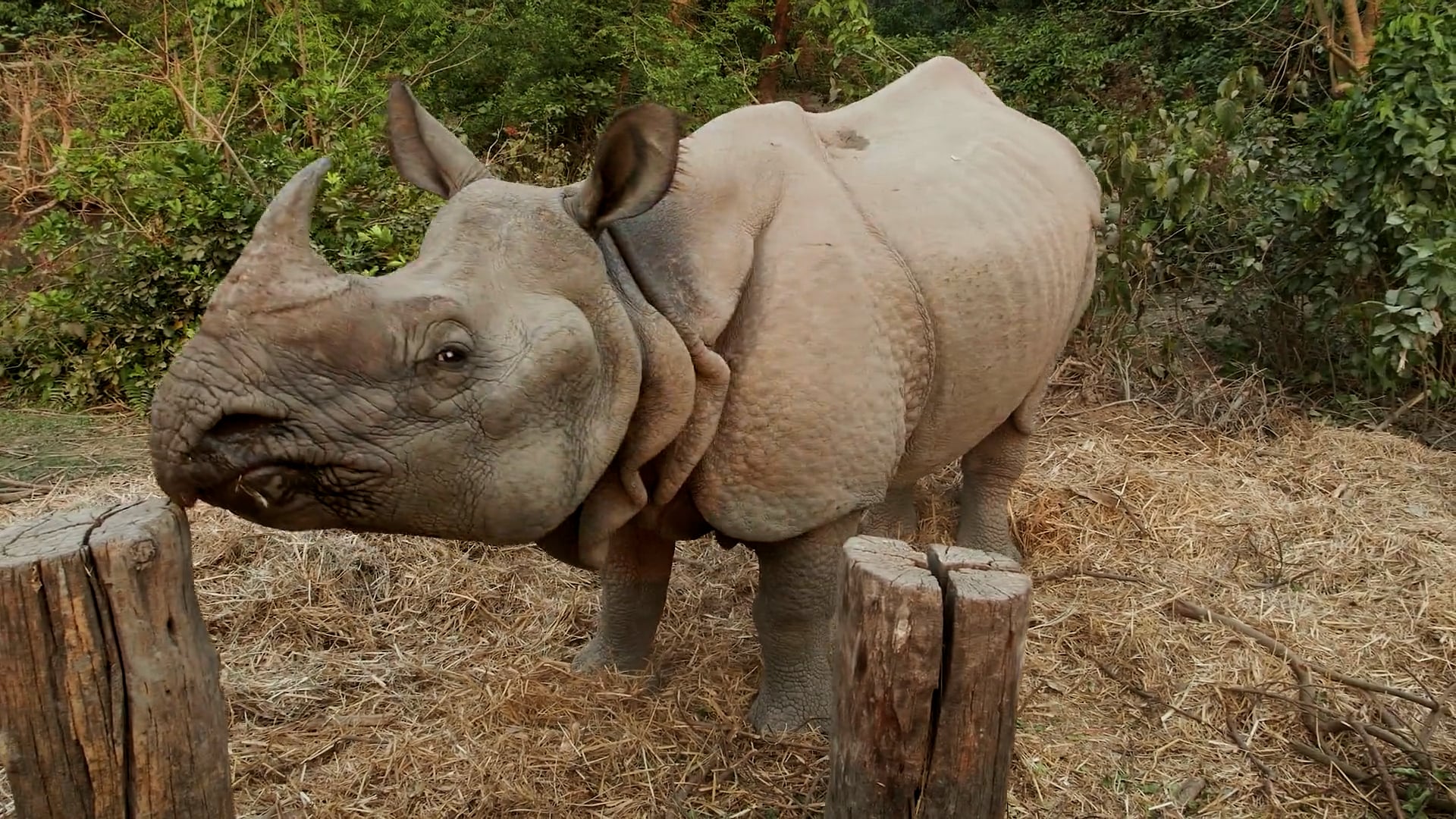 DESCUBRIR T2Ep03: Nepal Tropical. TEASER