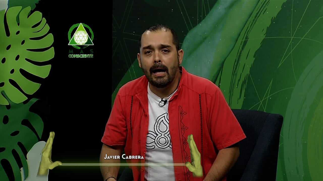 Medio Ambiente y Mass Media