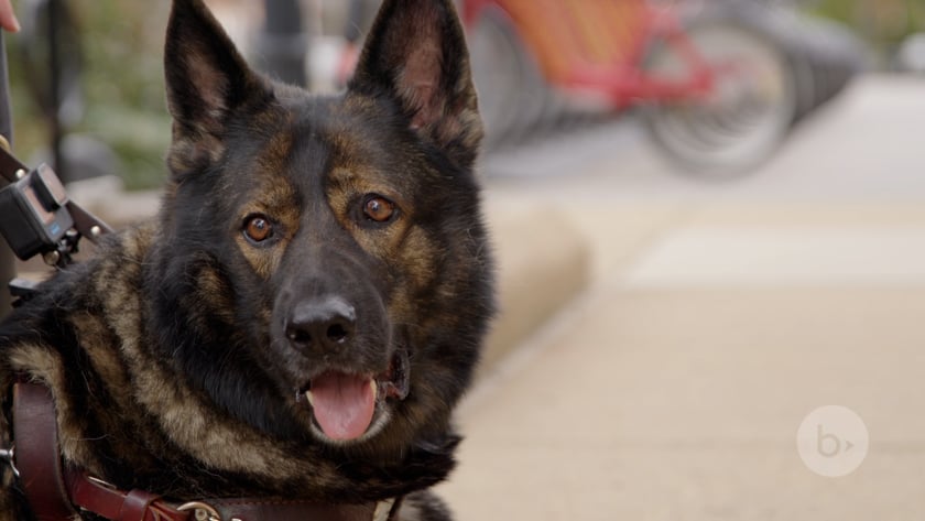 vimeo-video-thumbnail