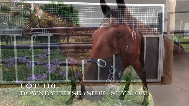 Lot 410