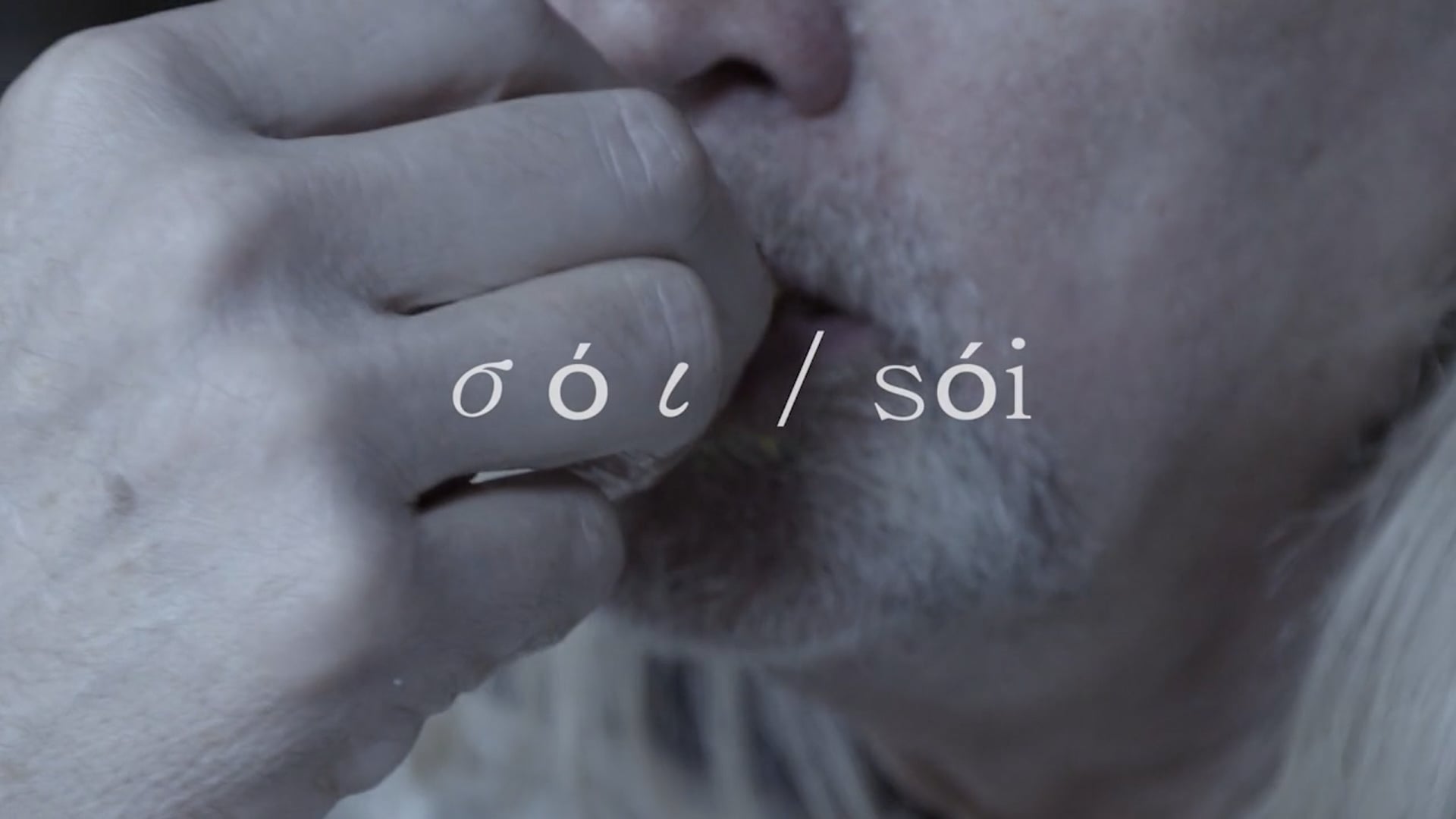 σόι / sói
