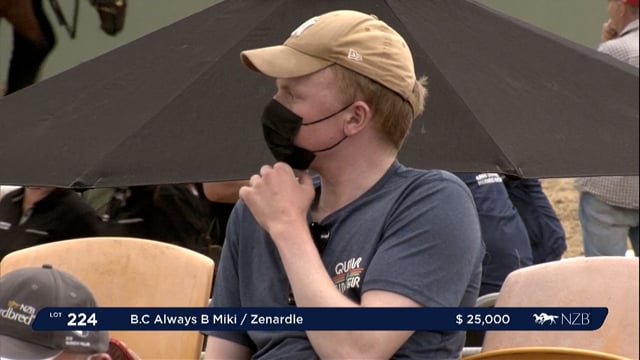NZB Standardbred Yearling Sale 2022 Day 2 - Lots 224 - 230