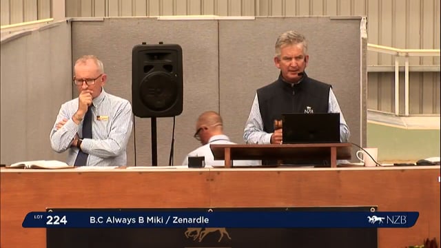 NZB Standardbred Yearling Sale 2022 Day 2 - Lots 224 - 230