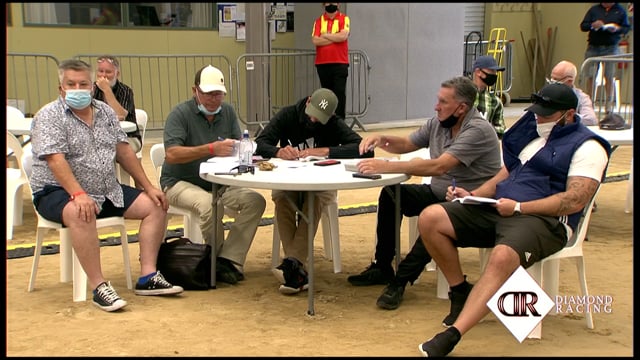 NZB Standardbred Yearling Sale 2022 Day 2 - Lots 230 - 237