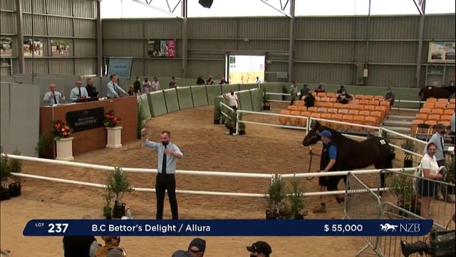 NZB Standardbred Yearling Sale 2022 Day 2 - Lots 237 - 224