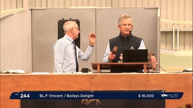 NZB Standardbred Yearling Sale 2022 Day 2 - Lots 244 - 249