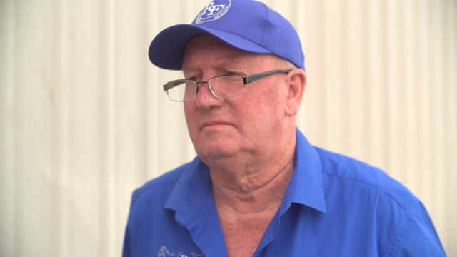 Lot 229 - Paul Renwick