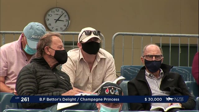 NZB Standardbred Yearling Sale 2022 Day 2 - Lots 261 - 269.