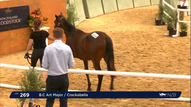 NZB Standardbred Yearling Sale 2022 Day 2 - Lots 269 - 275