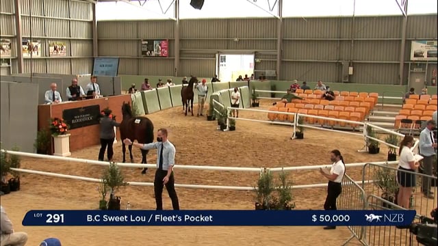 NZB Standardbred Yearling Sale 2022 Day 2 - Lots 291 - 297