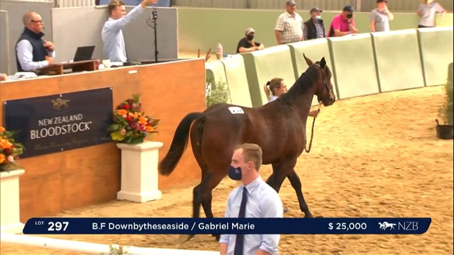 NZB Standardbred Yearling Sale 2022 Day 2 - Lots 297 - 305