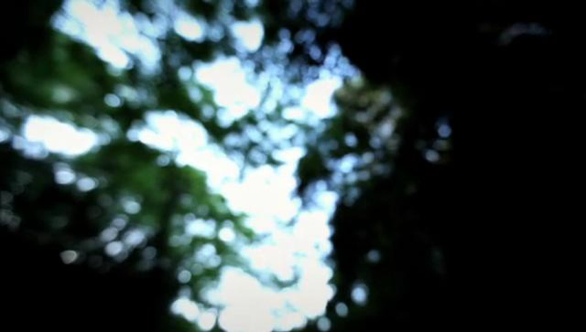 Antony and the Johnsons, Another World — film still