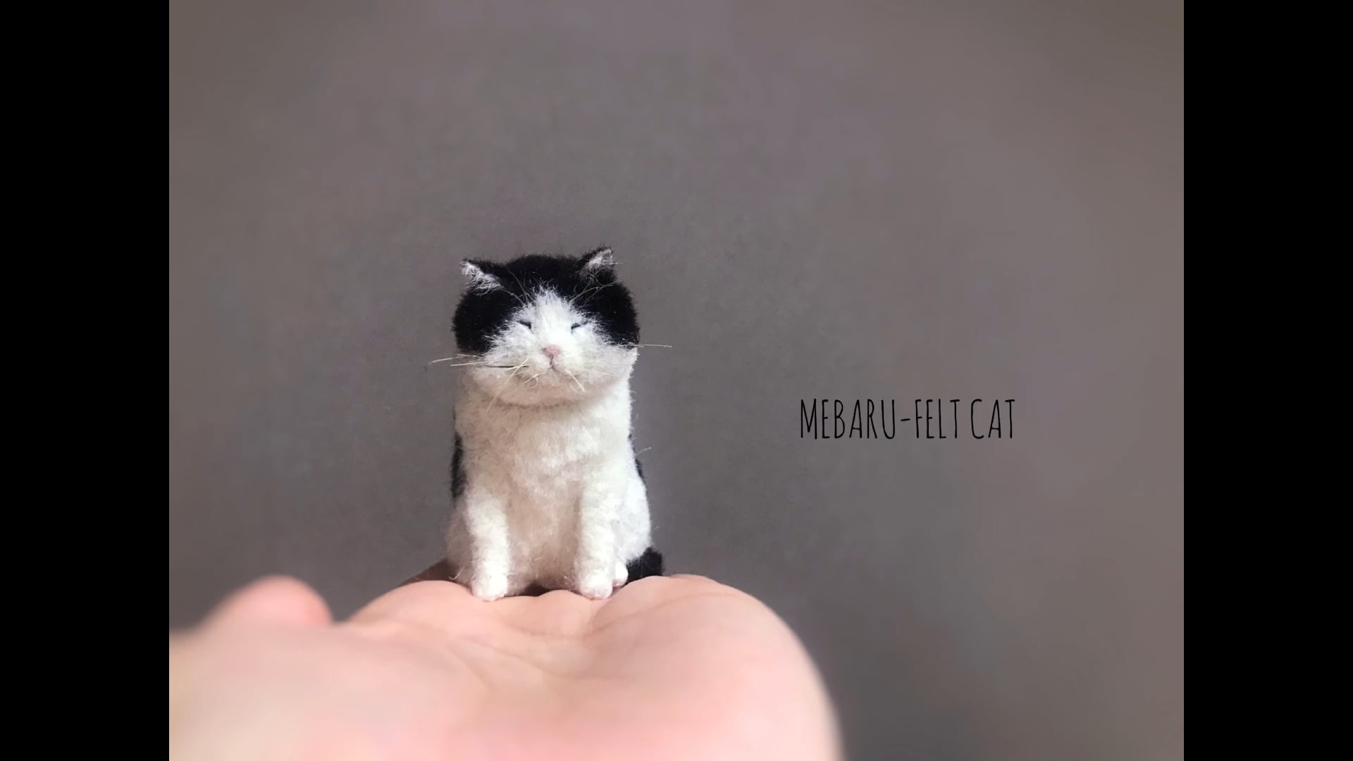 コースレッスン】MEBARUが教える！はじめての羊毛フェルト講座 -白黒猫