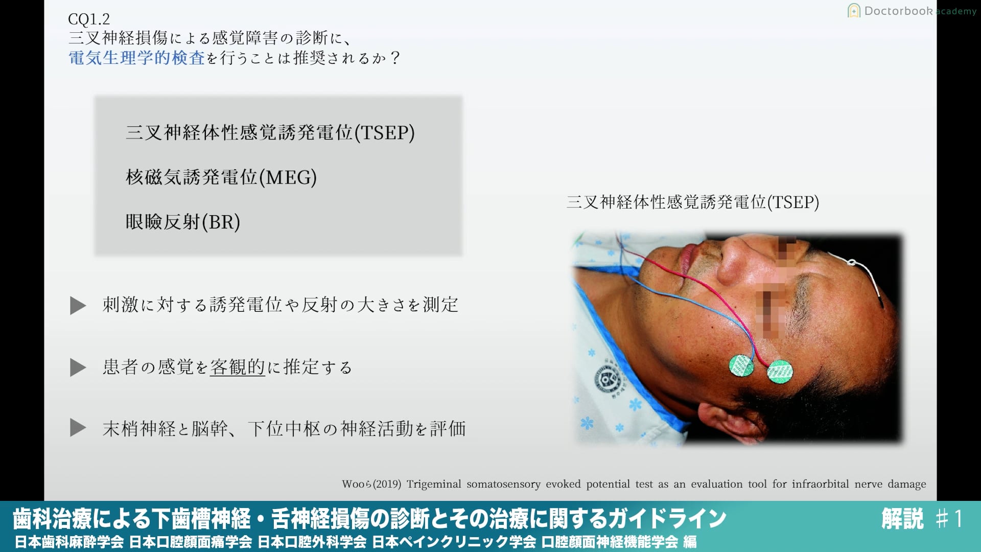 『歯科治療による下歯槽神経・舌神経損傷の診断とその治療に関するガイドライン』解説 Part1