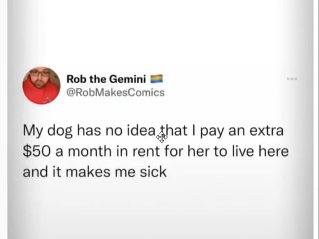 Neuer, genialer Trick um massiv Reichweite bei Insta & FB zu erhalten