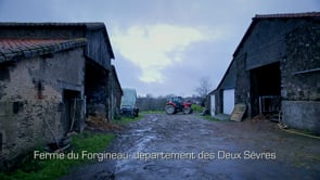 ANTOINE’S BOCAGE