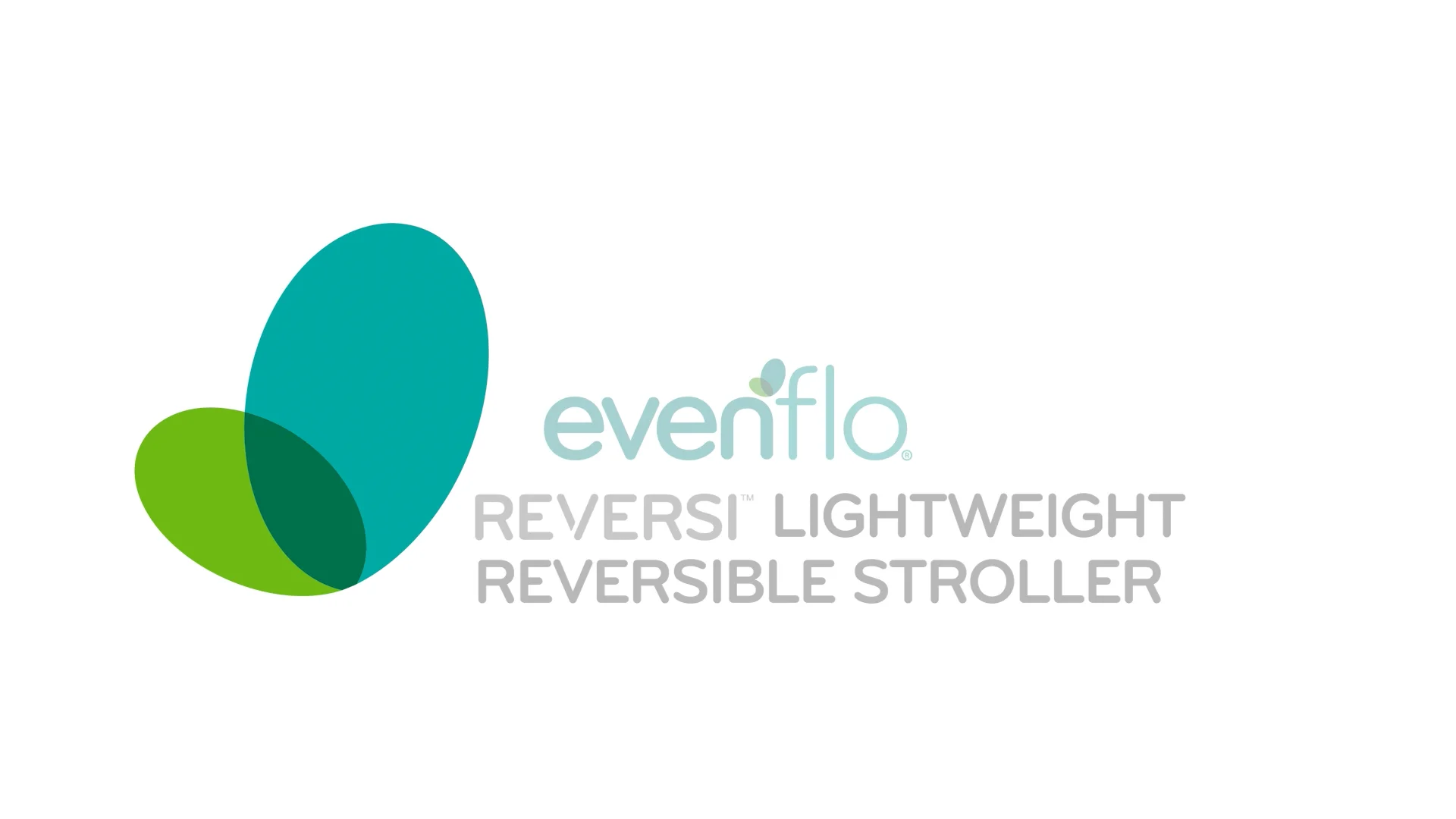 Evenflo best sale reversible stroller