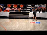 Preview Video #1