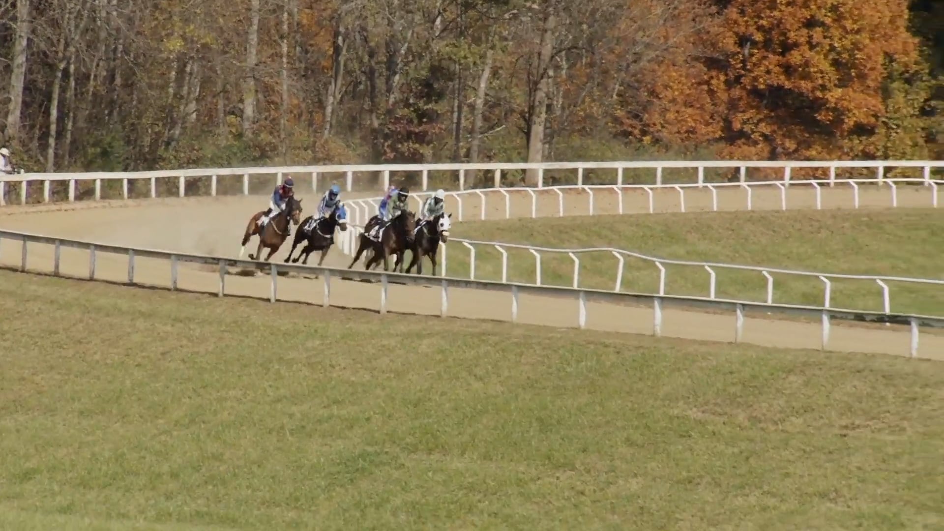 2021 Montpelier Hunt Races - 2021 Montpelier Race 1 on Vimeo